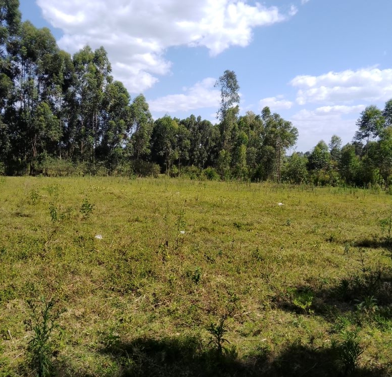 3 acres of land for sale in Bungoma Mabanga