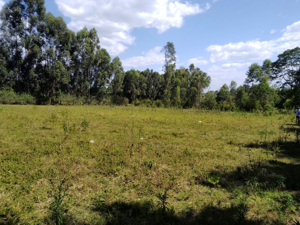 3 acres of land for sale in Bungoma Mabanga