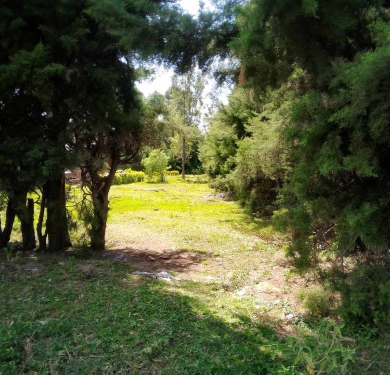 3 acres of land for sale in Bungoma Mabanga