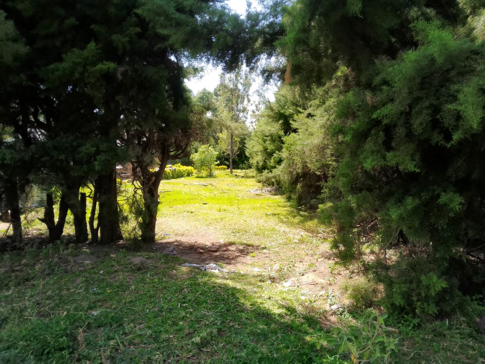 3 acres of land for sale in Bungoma Mabanga