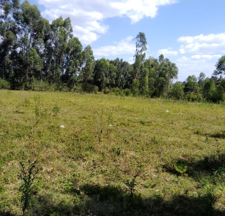3 acres of land for sale in Bungoma Mabanga