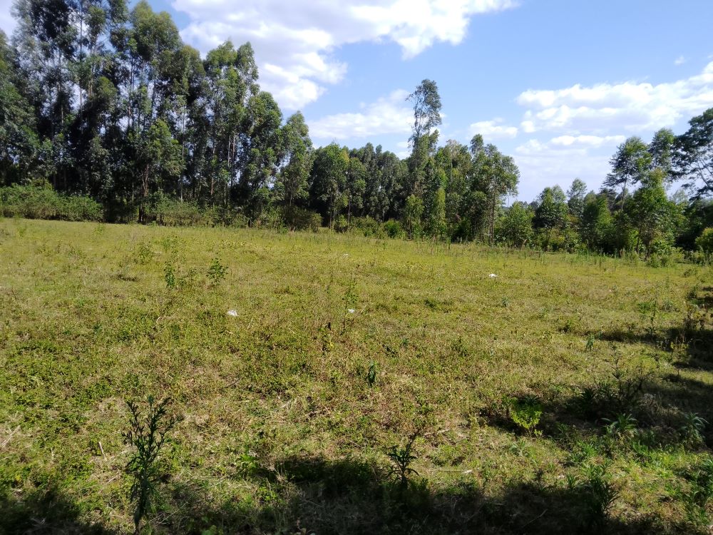 3 acres of land for sale in Bungoma Mabanga