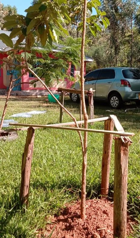 House for sale in Bungoma Khalaba area