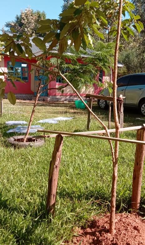 House for sale in Bungoma Khalaba area