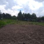 Land for Sale in Bungoma's Pamus