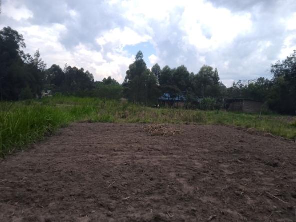 Land for Sale in Bungoma's Pamus