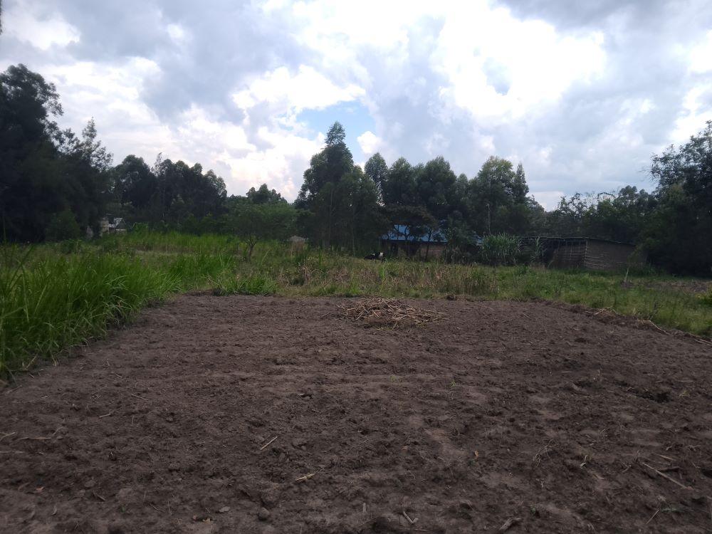 Land for Sale in Bungoma's Pamus