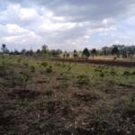 acres of land for sale in Kitale Machewo