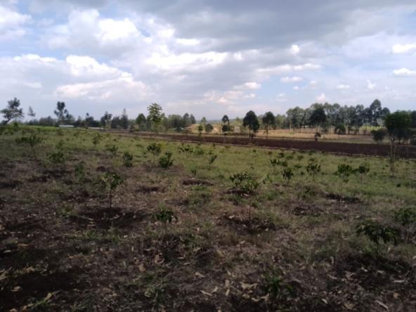 acres of land for sale in Kitale Machewo